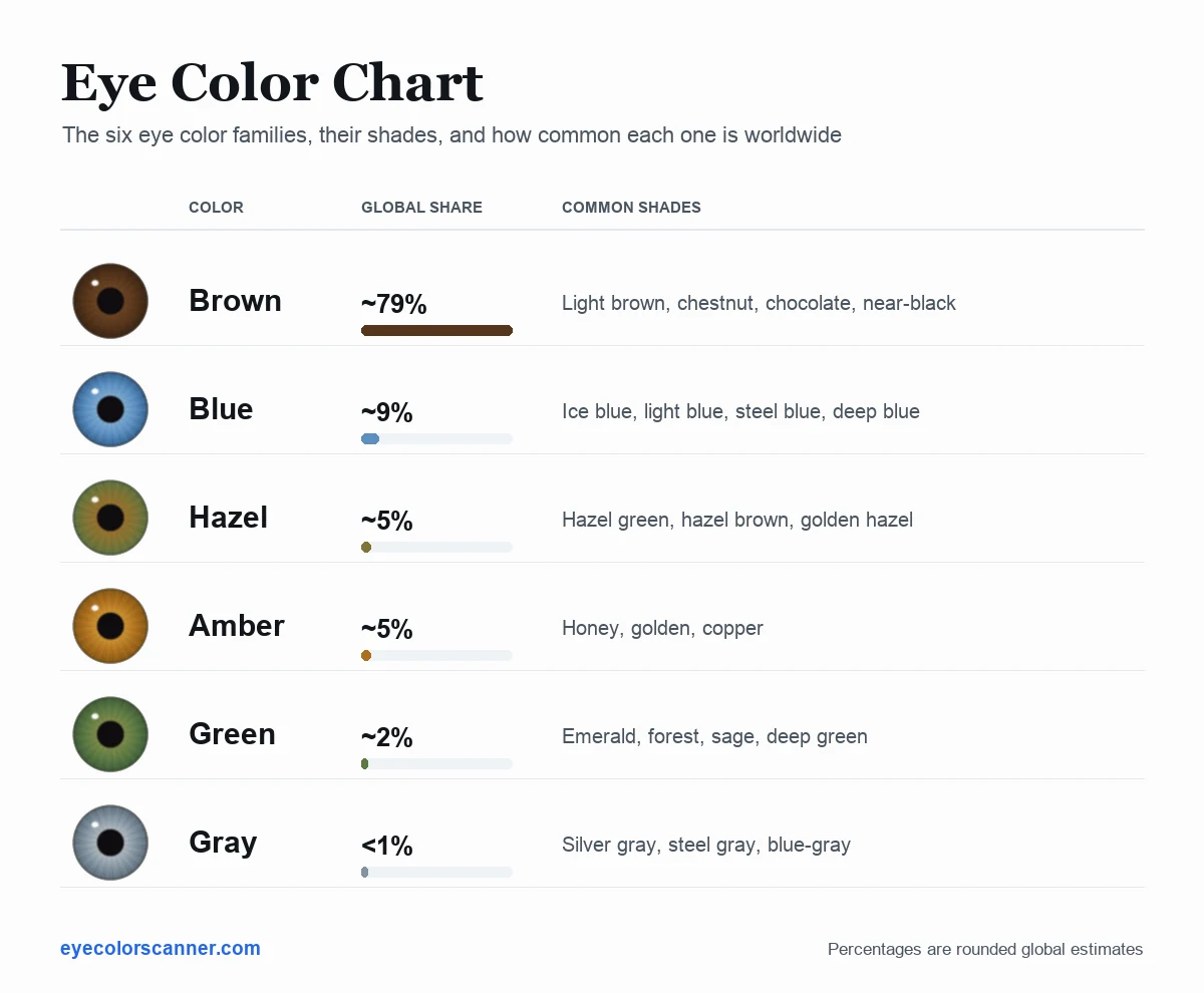 Eye color chart showing all six eye colors: brown 79%, blue 9%, hazel 5%, amber 5%, green 2%, and gray under 1%, each with an iris illustration and its common shades