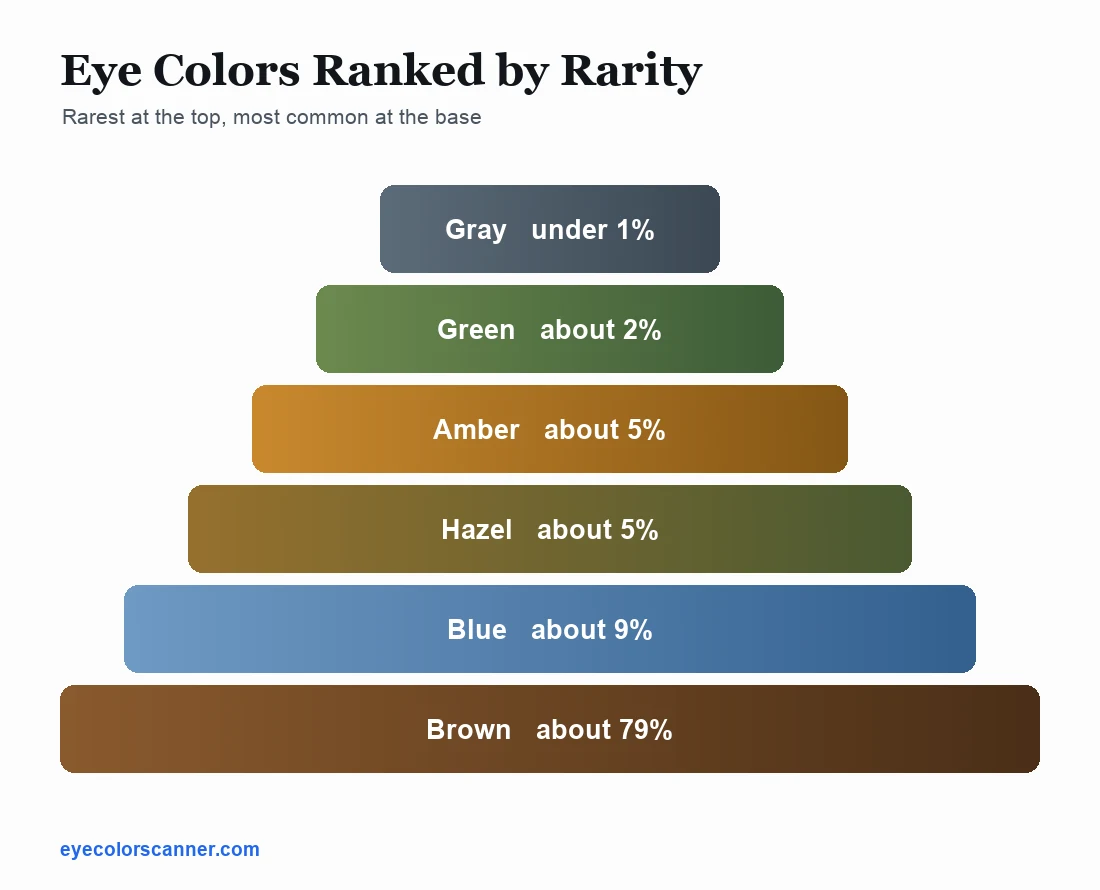 Eye color rarity pyramid with gray under 1 percent at the top, then green 2 percent, amber 5 percent, hazel 5 percent, blue 9 percent, and brown 79 percent at the base